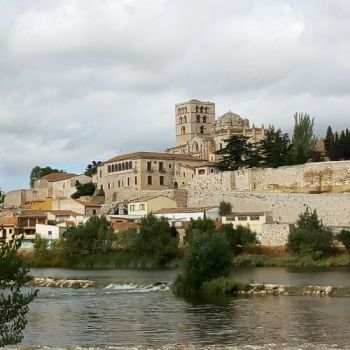 Zamora y el románico